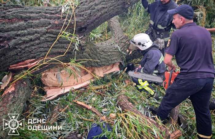 На Одещині дерево впало на намет з дітьми, загинув хлопець